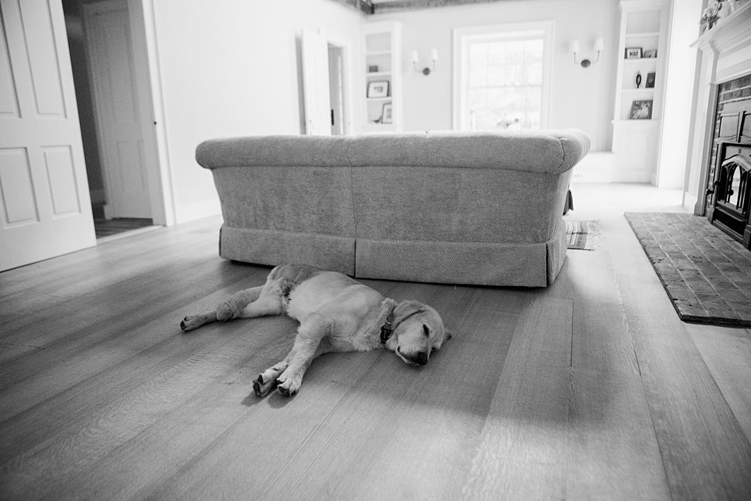 Private Estate Western Mass ARIELLE DONESON PHOTOGRAPHY