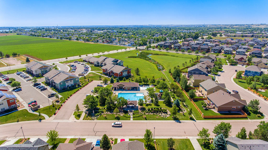 Windshire Boxwood Photos