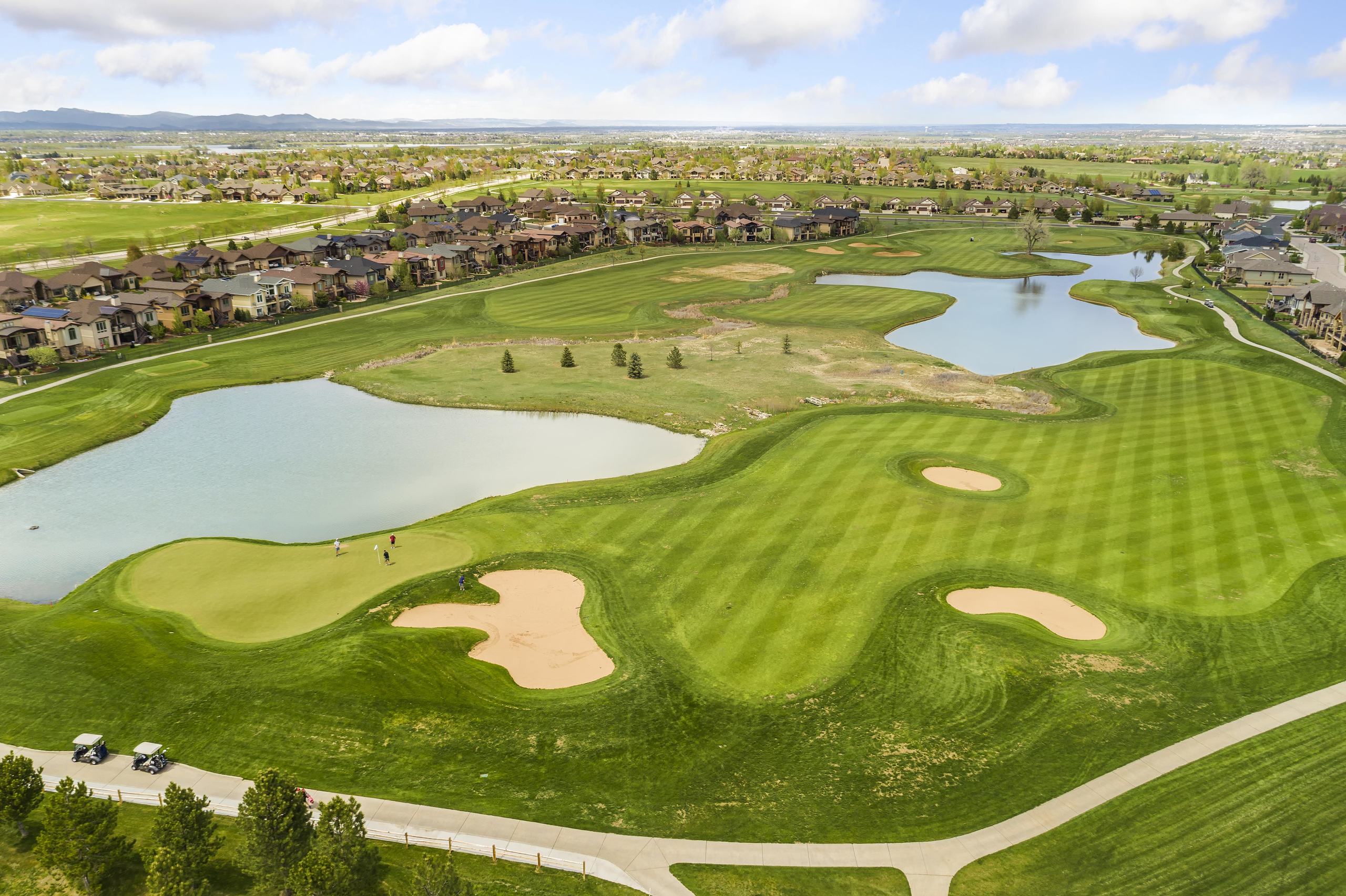 Highland Meadows Boxwood Photos