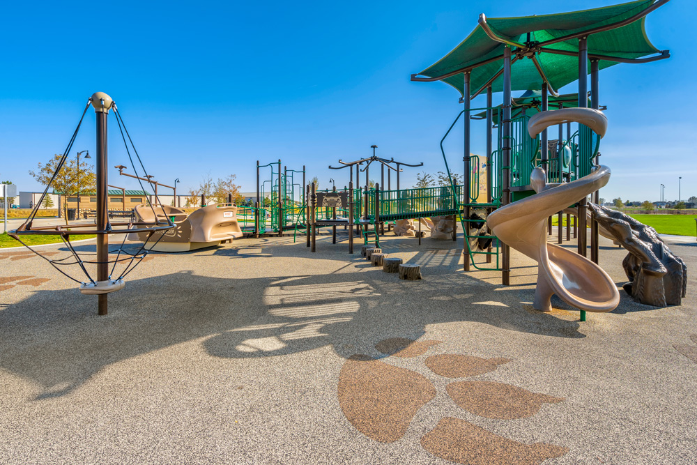 Wellington Park Boxwood Photos