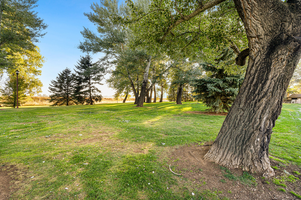 Warren Park Boxwood Photos