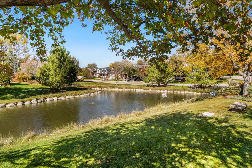 Clarendon Hills Boxwood Photos