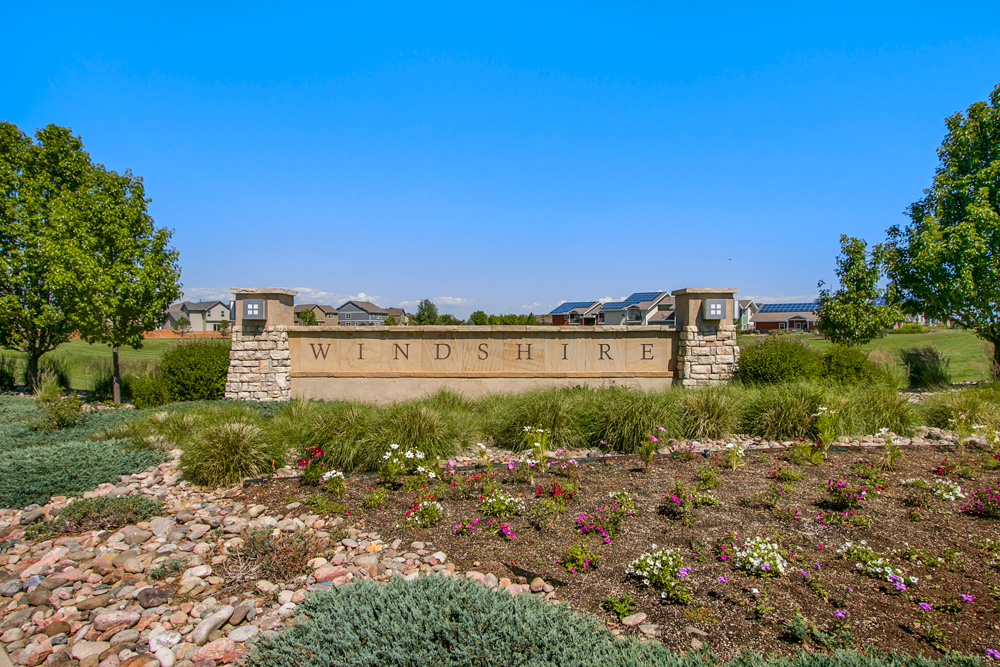 Windshire Boxwood Photos