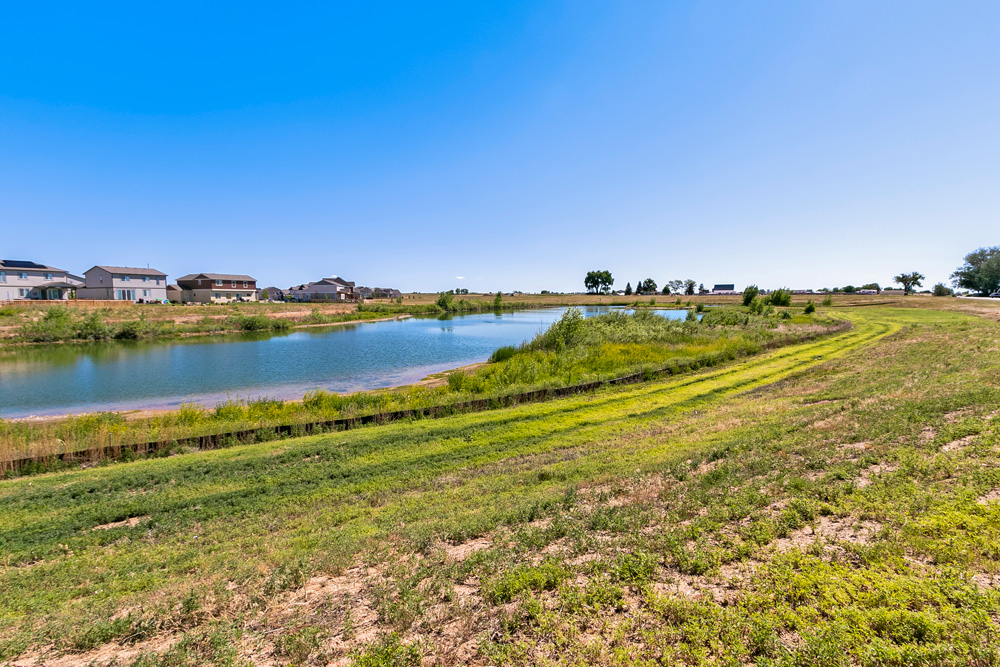 Timnath Ranch Boxwood Photos