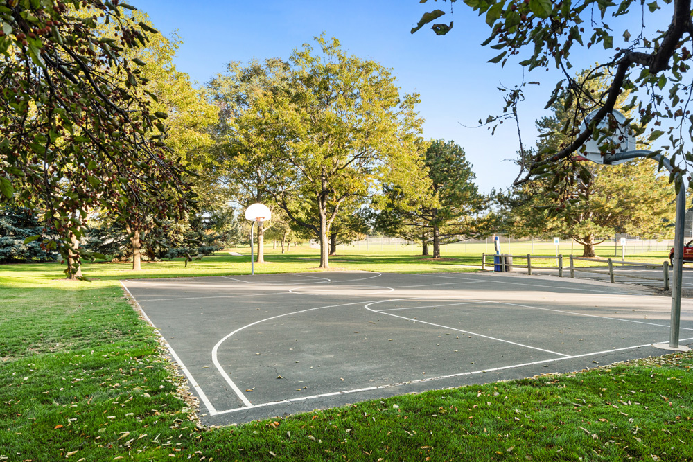 Warren Park Boxwood Photos