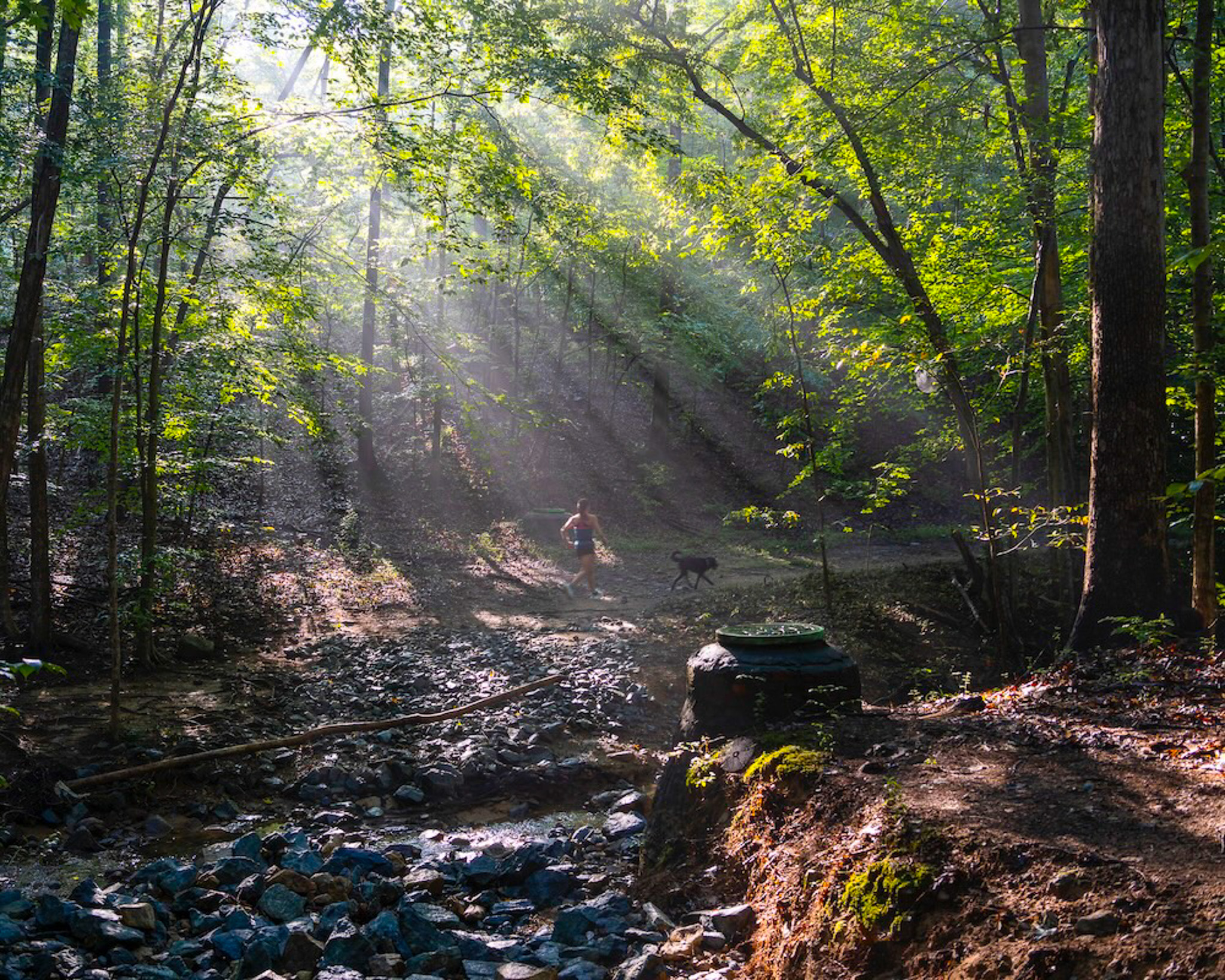 Trail Runners