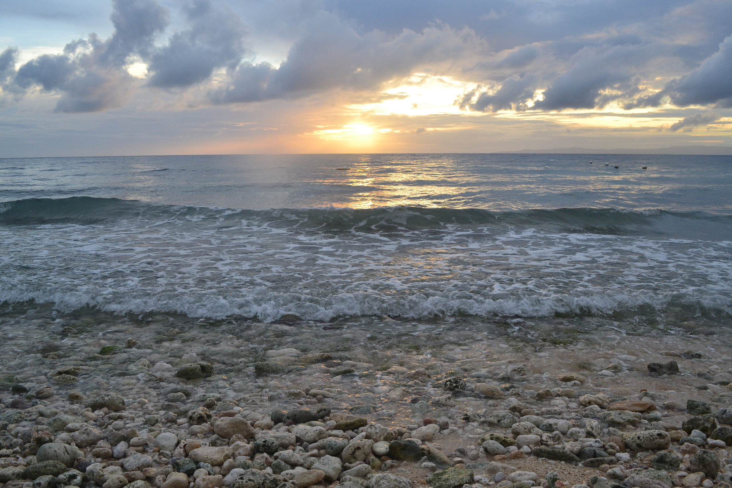 DSC_0960.JPG