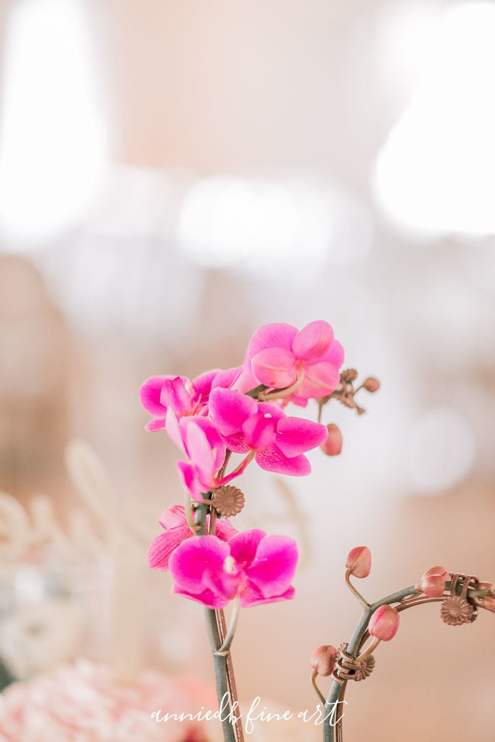 GARRETH AND KIRSTYN PROUT WEDDING AT OLIVES 7 PLATES WITS anniedb