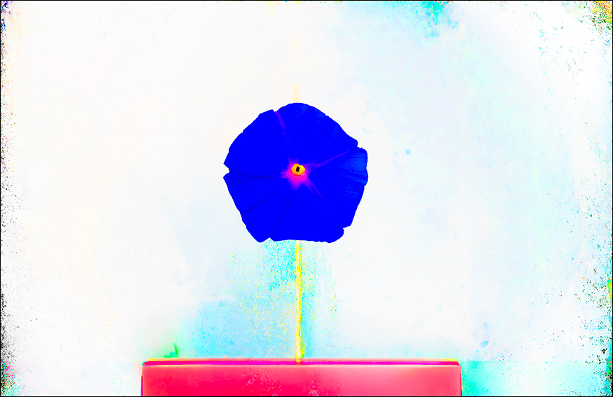 pedestals 2.jpg