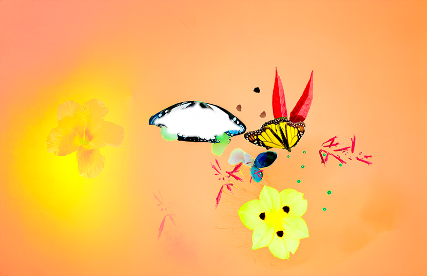flights 4.jpg
