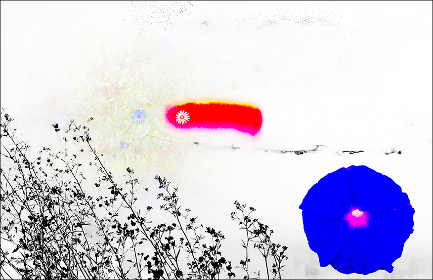 effects 4.jpg