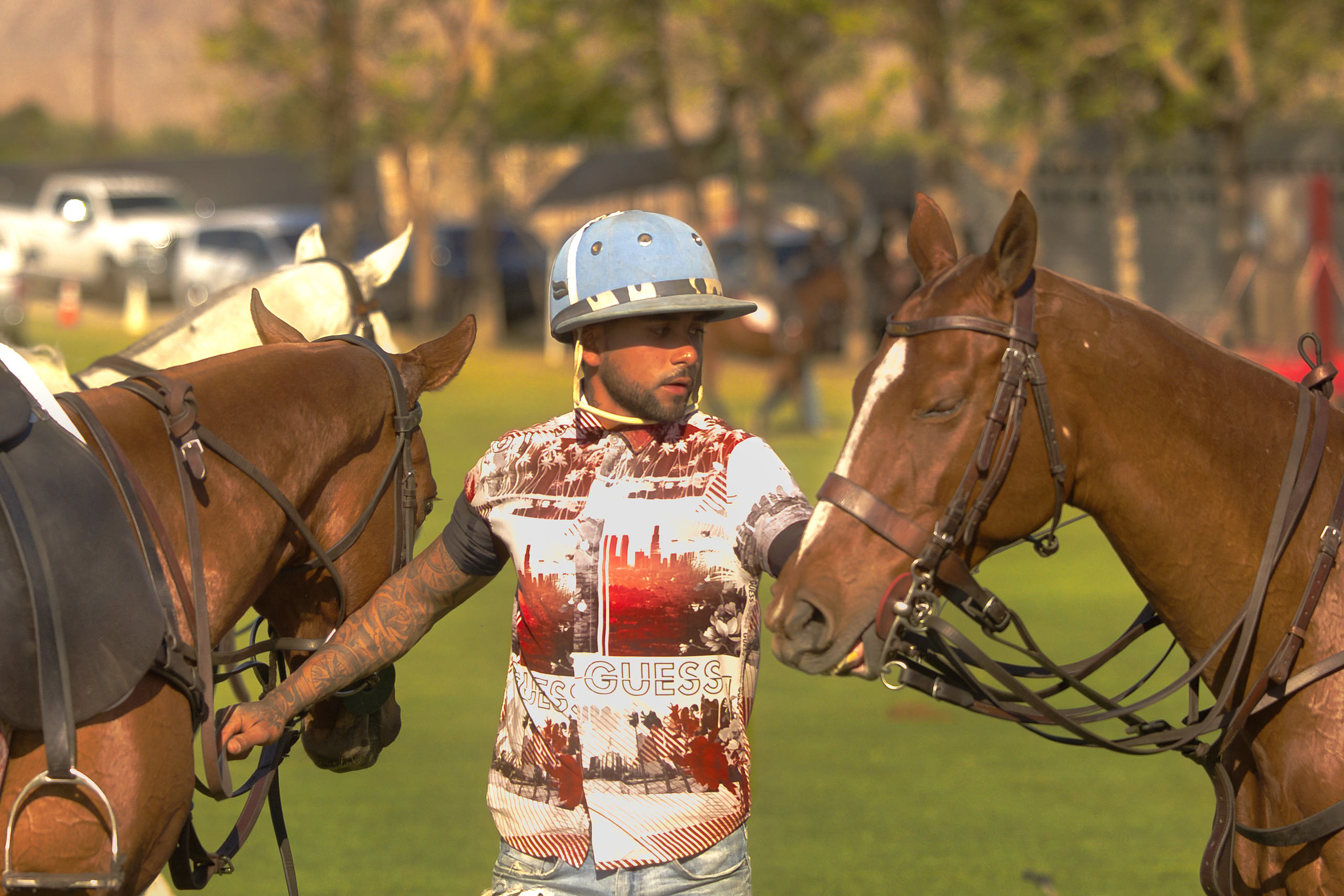 polo 600.jpg