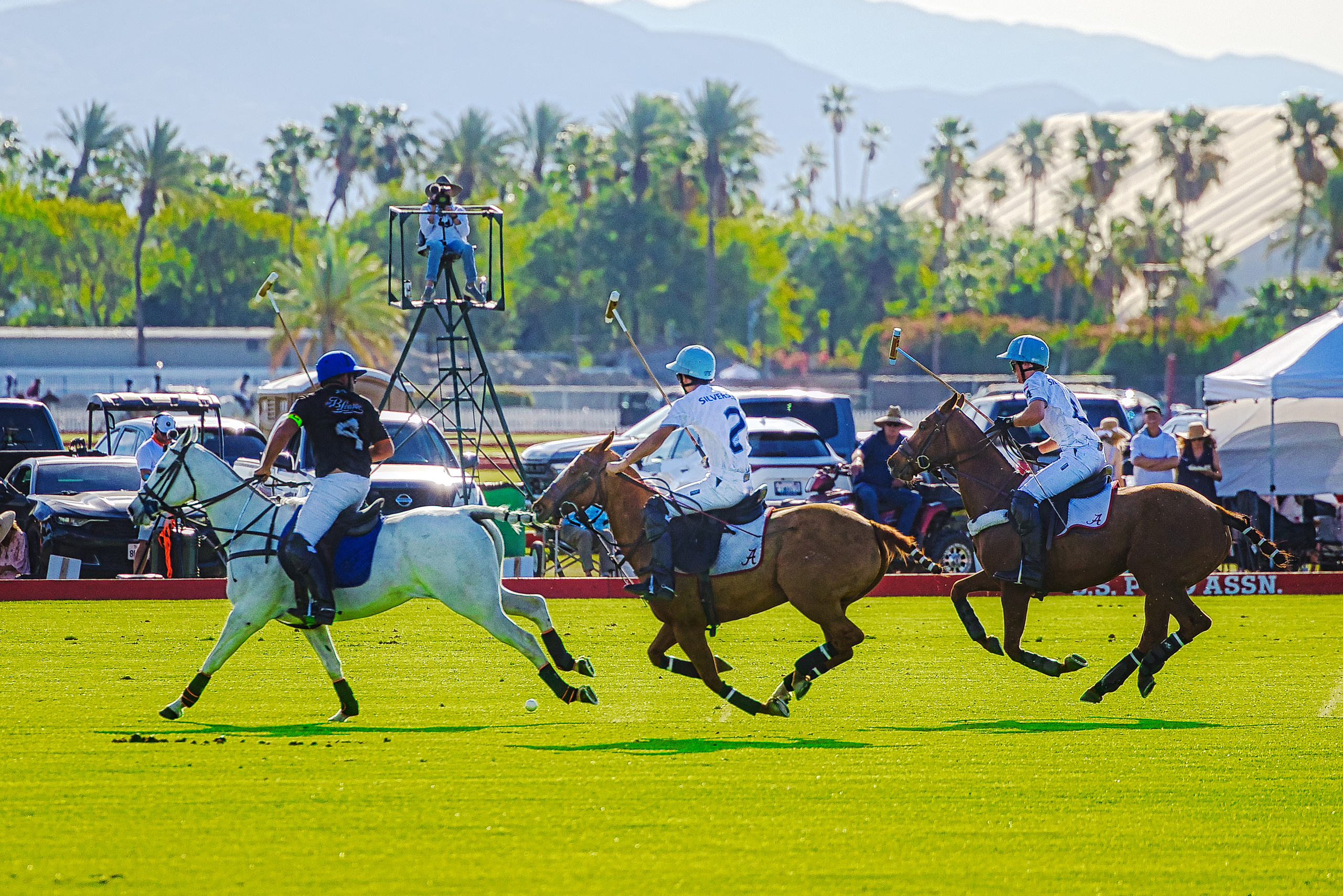 954a0351.jpg